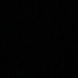 Meet your Posher, Abbie